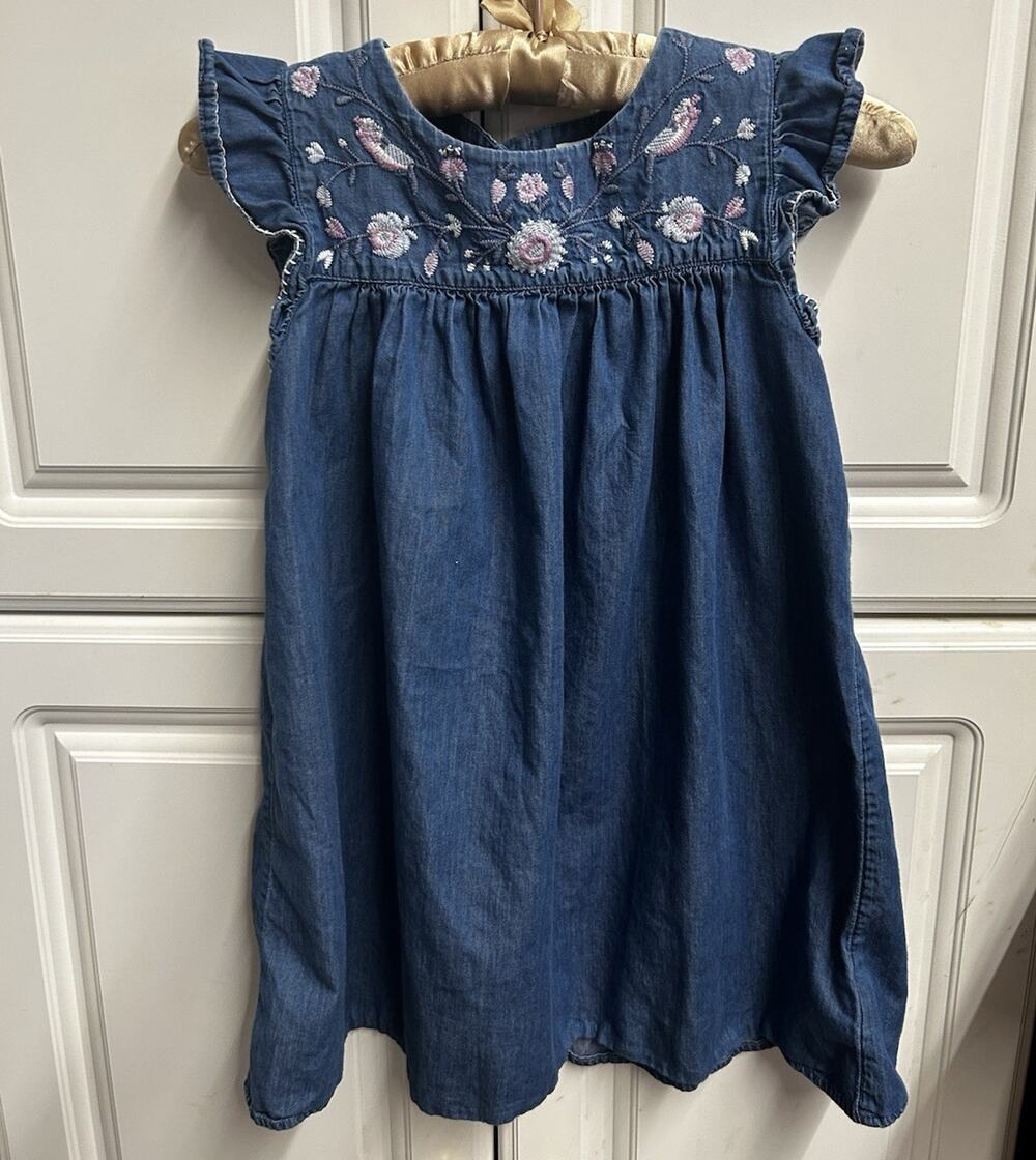 Gap Kids Girls M Blue Denim Floral Embroidered A-Line Knee Dress Ruffle
